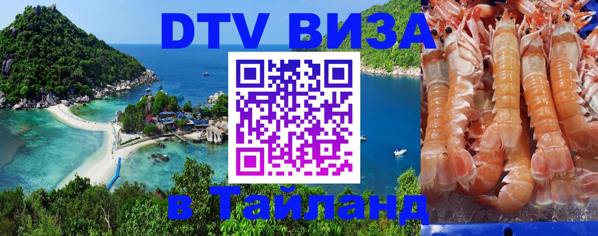 DTV виза Тайланд Нижний Новгород 